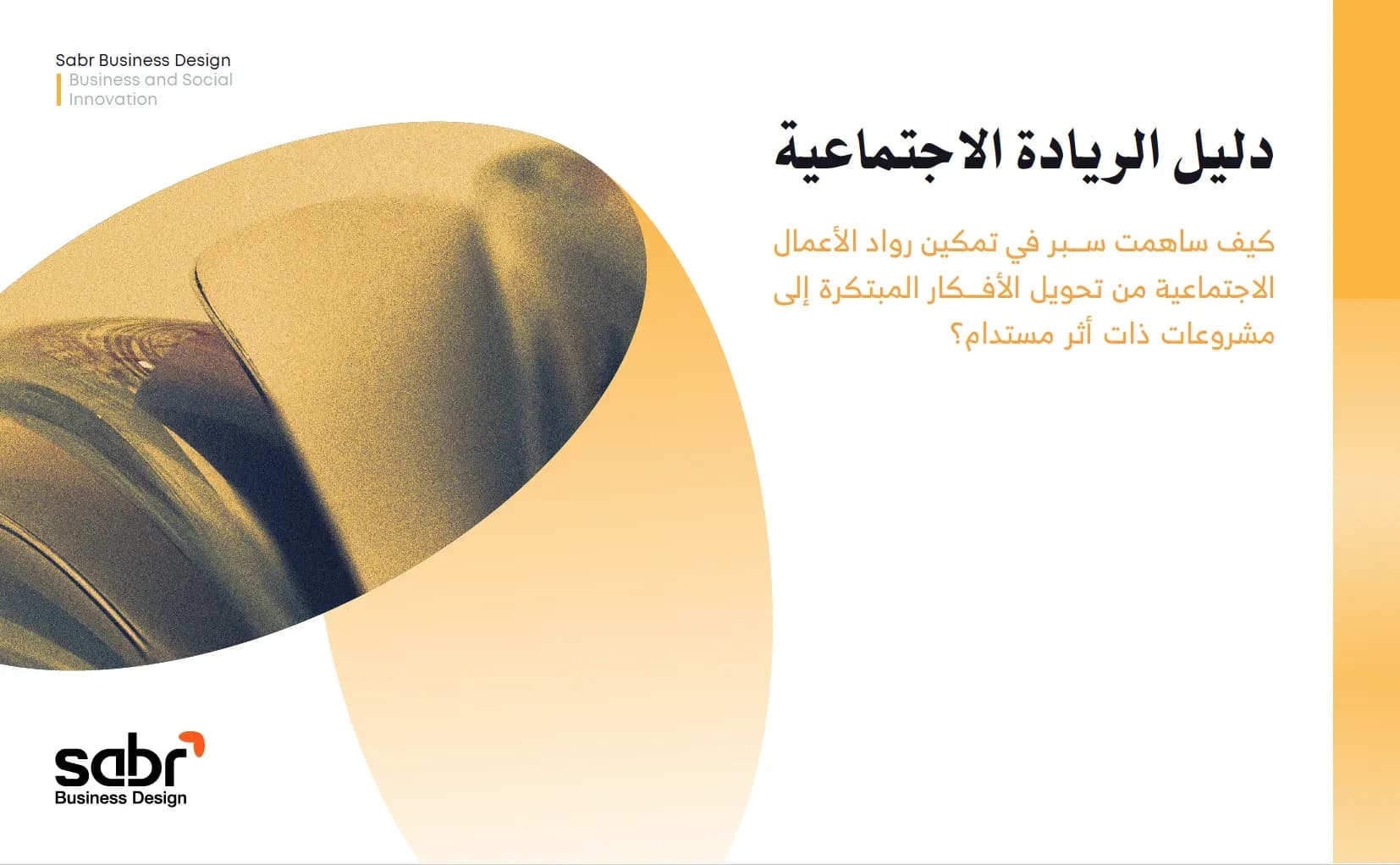 دليل الريادة الاجتماعية