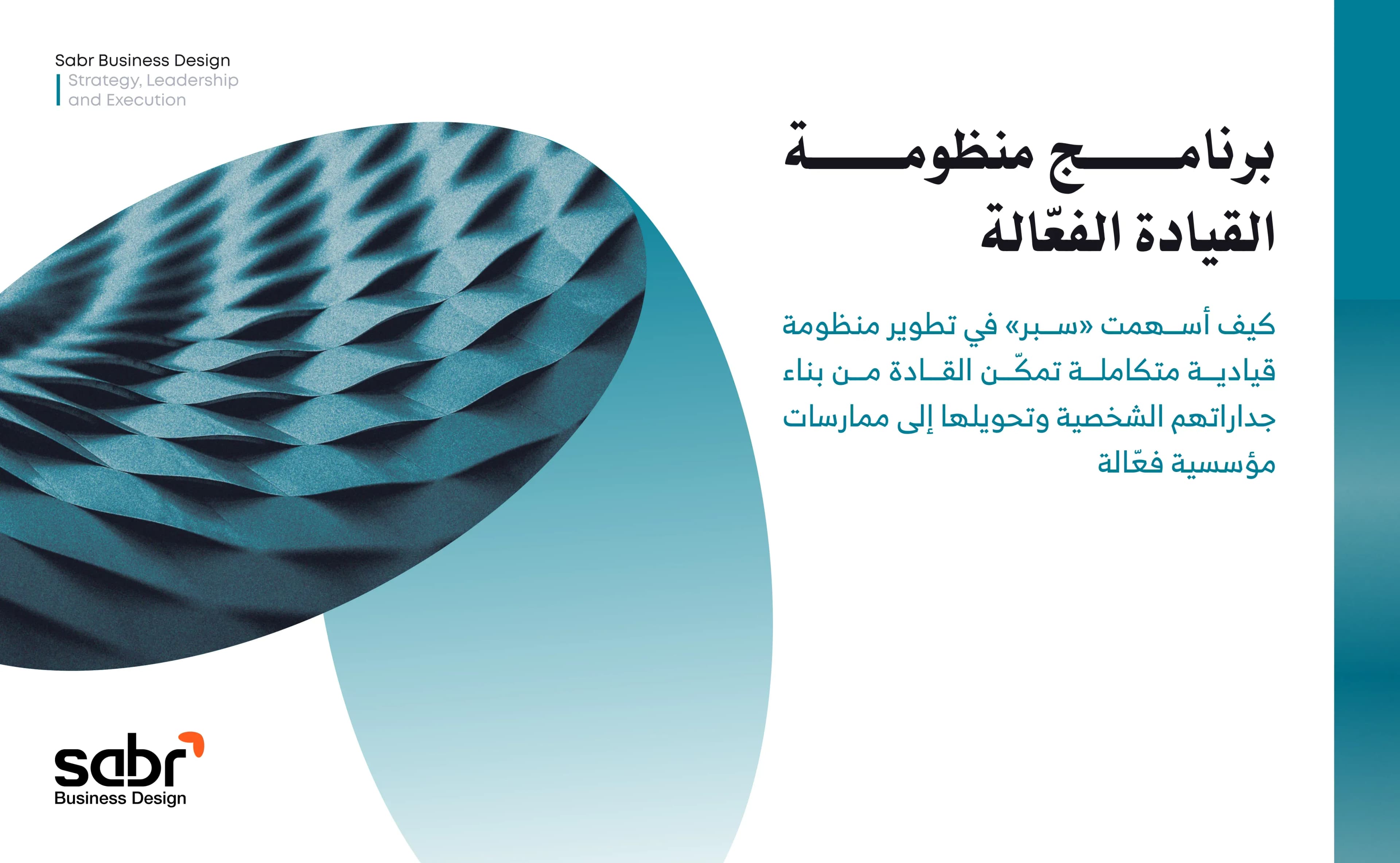 برنامج منظومة القيادة الفعّالة